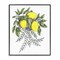 Stupell Industries Lemons & Flowers Vintage Sketch Framed Giclee, design by Cecilia Battaini